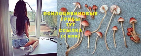 гидра Балабаново