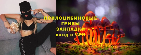гидра Балабаново