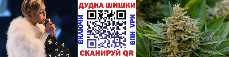Конопля сатива  Верхоянск 